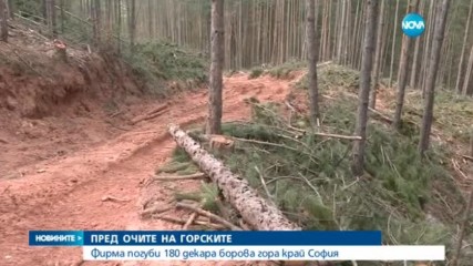 Новините на NOVA (09.04.2017 - обедна емисия)