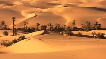Oasis..(sarah brightman,,harem)