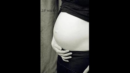 my pregnancy belly progression-weeks 10 to 40