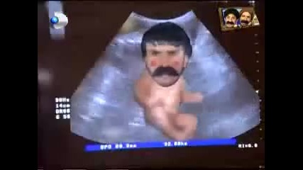 koca kafalar