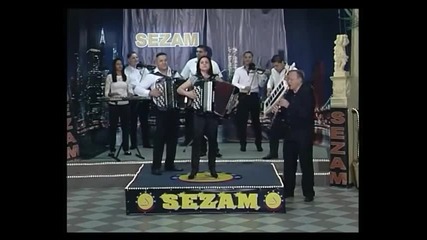 Vesna Dimic - Micina vragolije