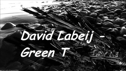 David Labeij - Green T (original Mix) 