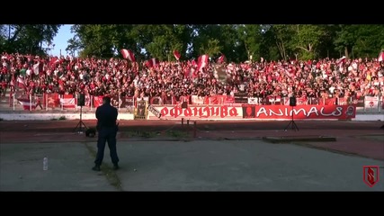 Support Steaua