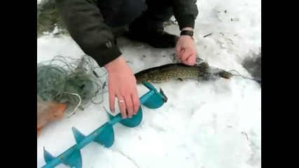 Мрежари На Лед 