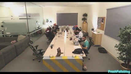 The Harlem Shake ep.3