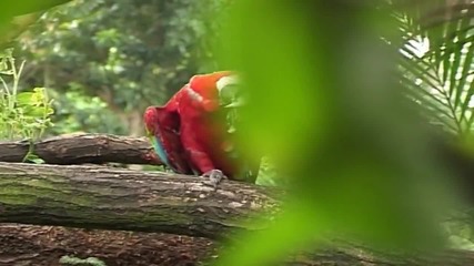 Представяте ли си... - Пол Колиър