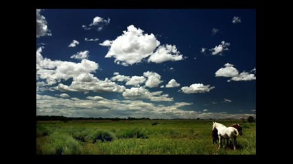 Thomas Newman - Any other name 