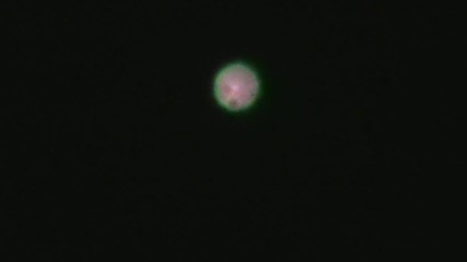 Изгрева на Венера над гр. Петрич 01.12.2016г.