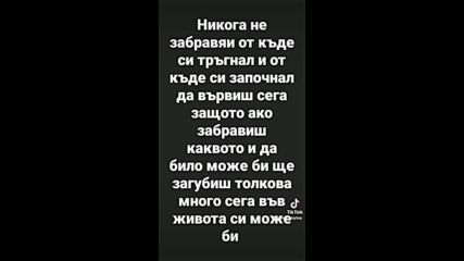 Vid_50860214_231731_002.mp4