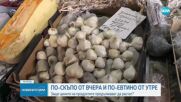 Скок в цените на българските чесън и пипер