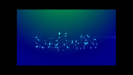 Adobe After Effects:broken Intro