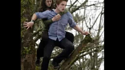 Twilight