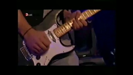 Siena Root - Shine