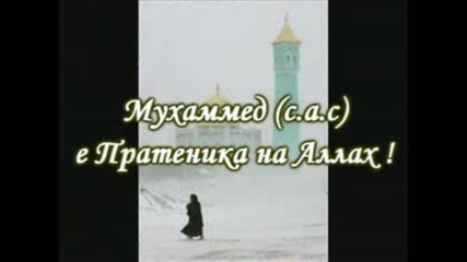 Повярвах в Аллах 