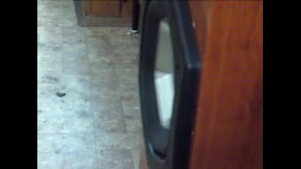 Mov02604