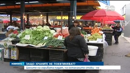 Новините на Нова (13.11.2014 - обедна)