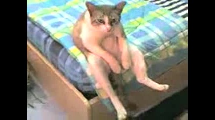 Отчаян от живота