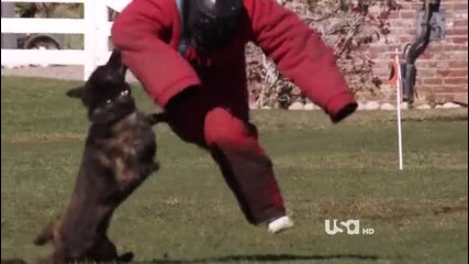 Wwe Tough Enough S05e01 Part 1