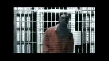 Eminem ft.50cent - You Dont Know Vbox7