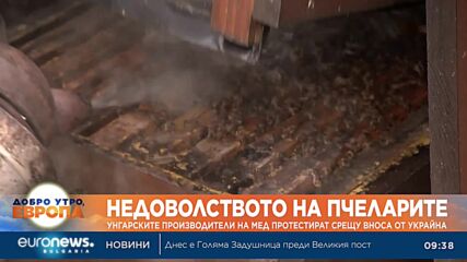 Пчеларите в Унгария се присъединиха към протеста срещу безмитния внос от Украйна
