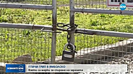 Откриха две огнища на птичи грип в Ямболско