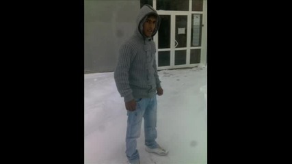 Birdal_guney_tuni
