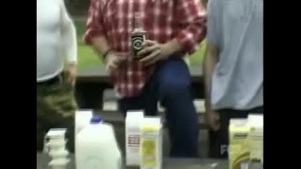 jackass 