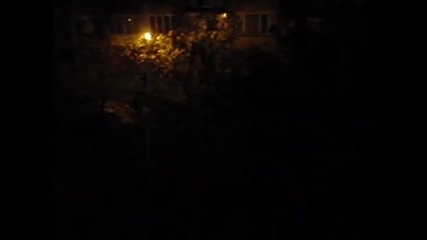 Птичи поздрав в ранни зори
