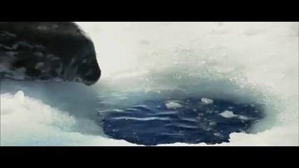 Oceans - Cold Swim 