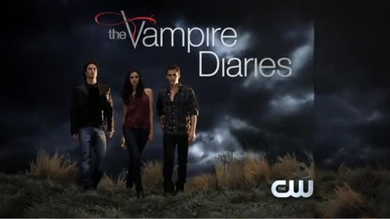 The Vampire Diaries - Damon Salvatore #2