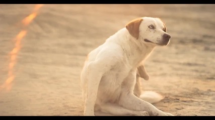 Ok Band-naseli Na Ljubav (official Music Video)