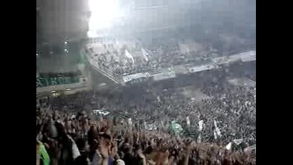 Trelos Fanaticos Panathinaikos