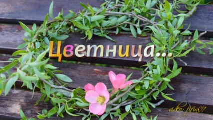Цветница......