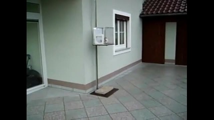 Котешкият асансьор 