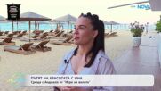 Пътят на красотата с Ина | Среща с Анджела от „Игри на волята“ | На кафе | 18 септ. 2026