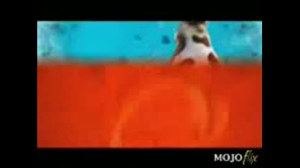 Crazy Cow Song 
