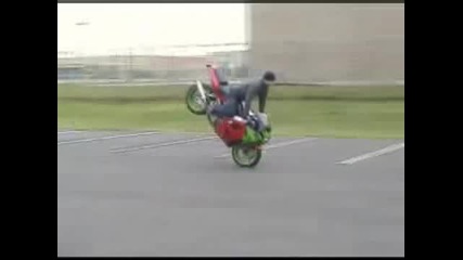 Шоу С Мотори
