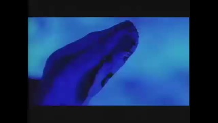 Sauce Money - middle finger U 