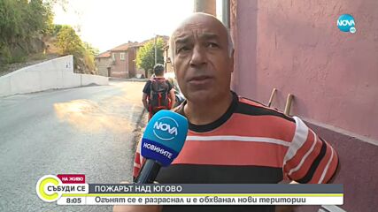 Пожарът над село Югово отново се разрасна