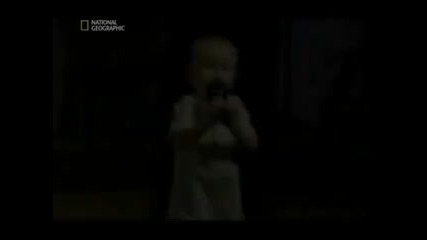 малкиа проповедник