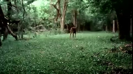 За да спечелиш ти е нужно само Мотивациа!! 