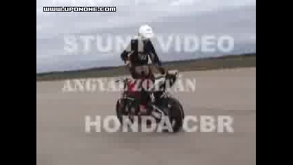 Moto Stunts