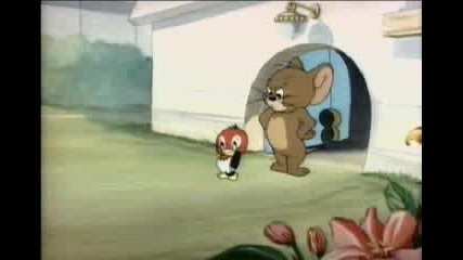 Tom And Jerry 11