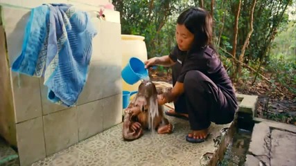 Born To Be Wild - Movie Trailer Official 