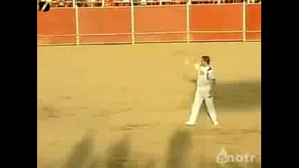 Пичове се гаврат с родео бик