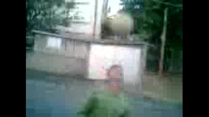 pav4o -