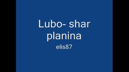 Lubo - shar planina 