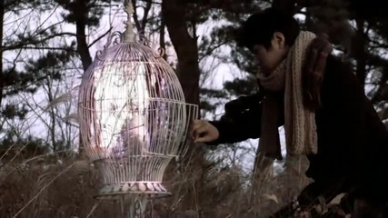 Strawberry Fields - Starlight March 