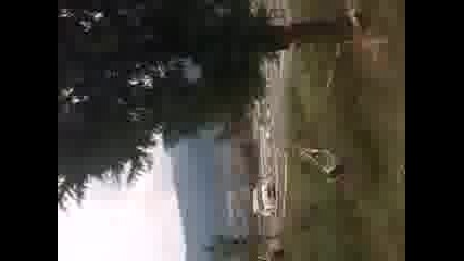 рали