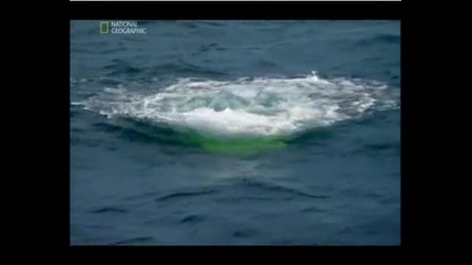 Planet Earth : Призраците От Черно Море - Част 2